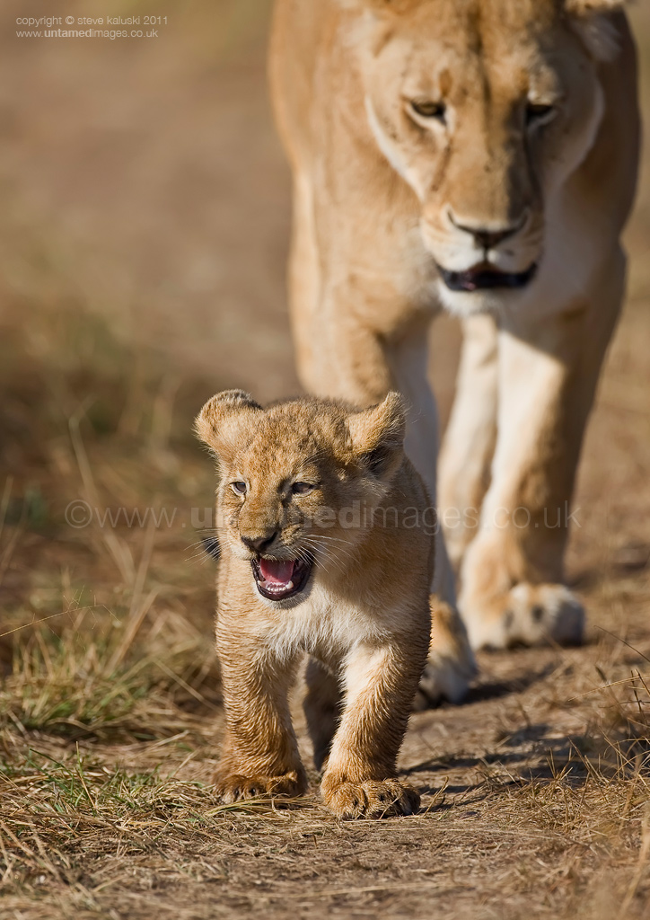 Out for a stroll