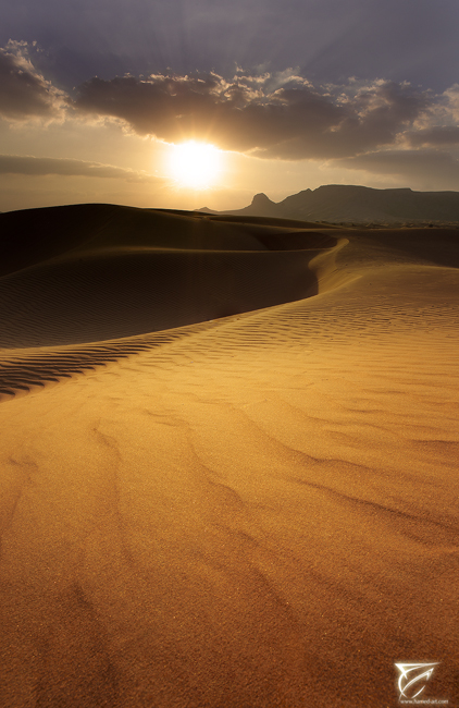 The Desert Tales