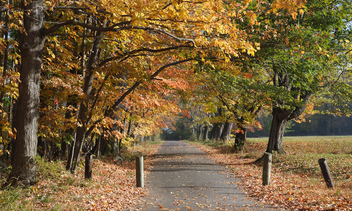 Path Around the Park