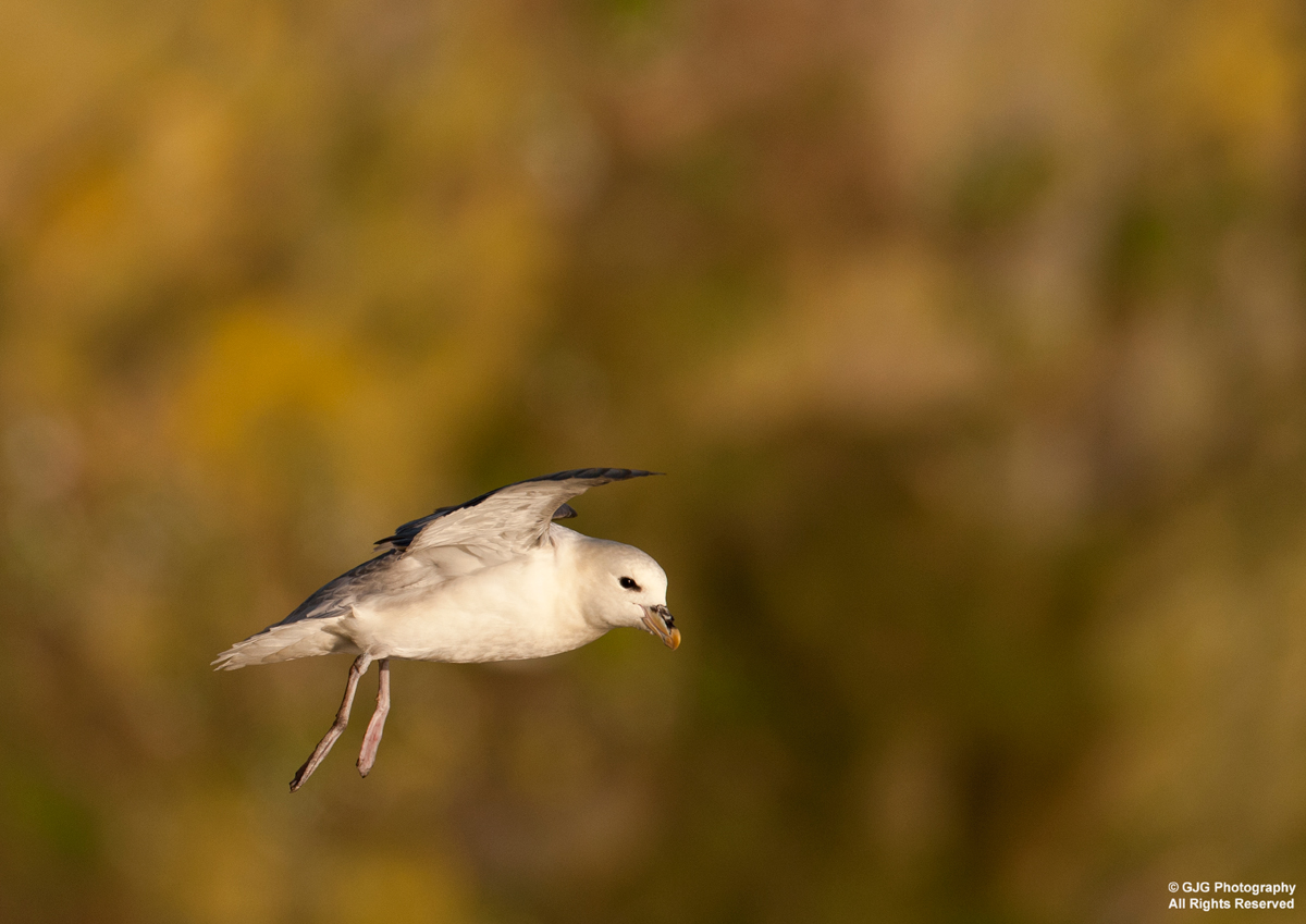 Hovering