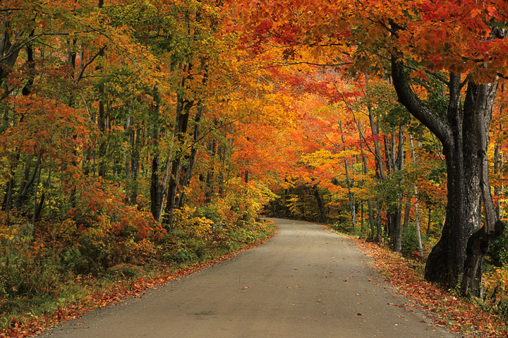WC-499, Road, Vermont