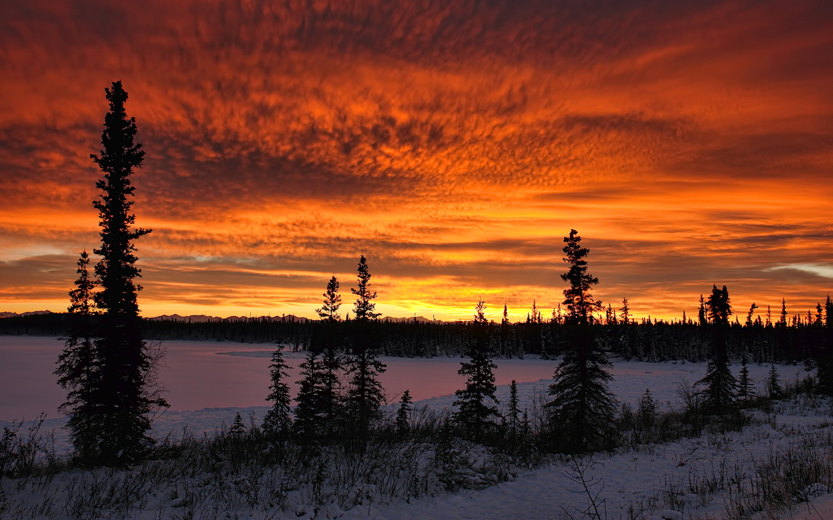 Frigid Fire