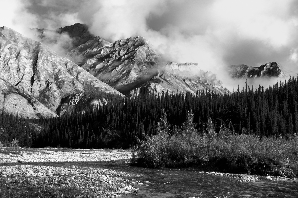 Morning Mountain Mist