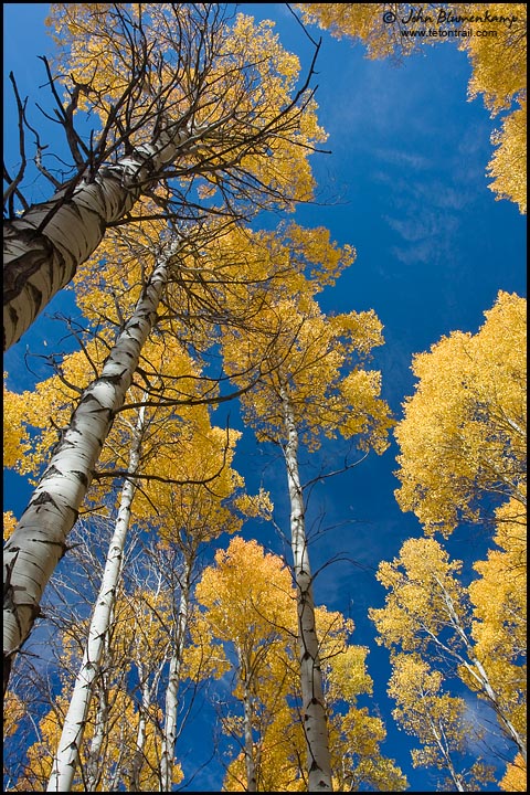 Upward Fall