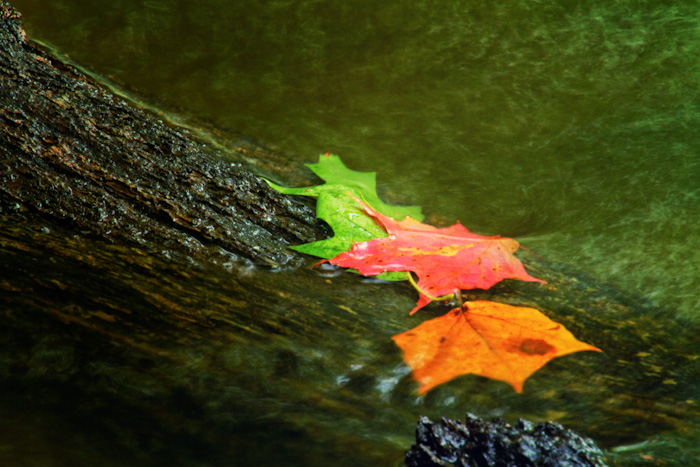 The color of three
