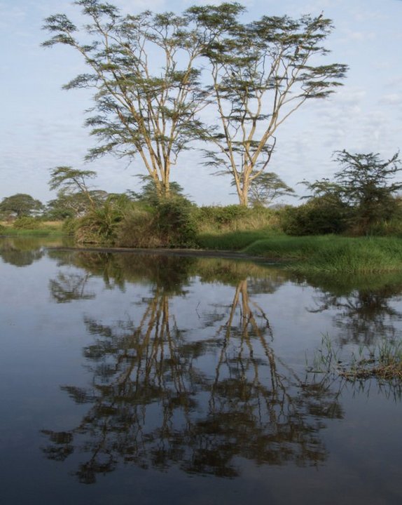 Reflections