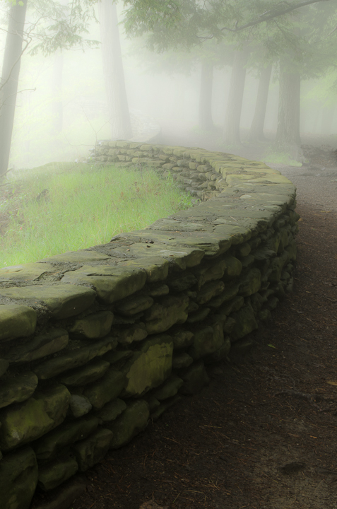 into the fog