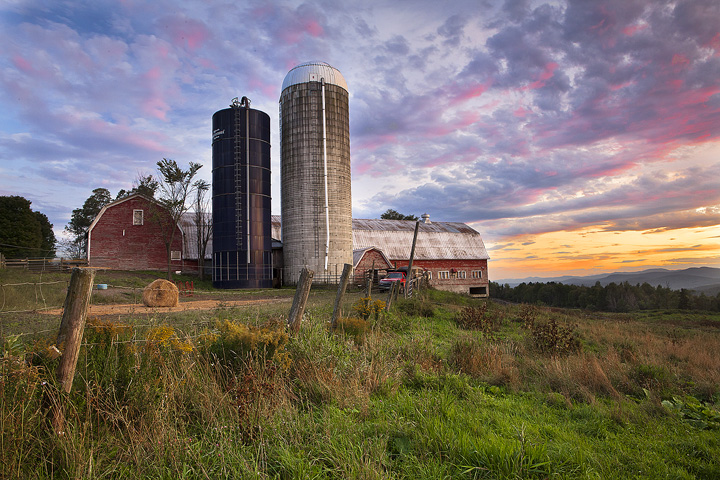 Sparrow Farm III