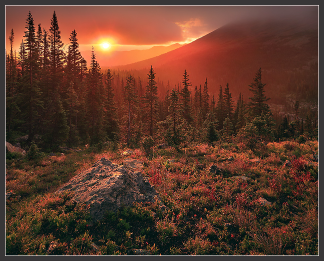  Dreamscape