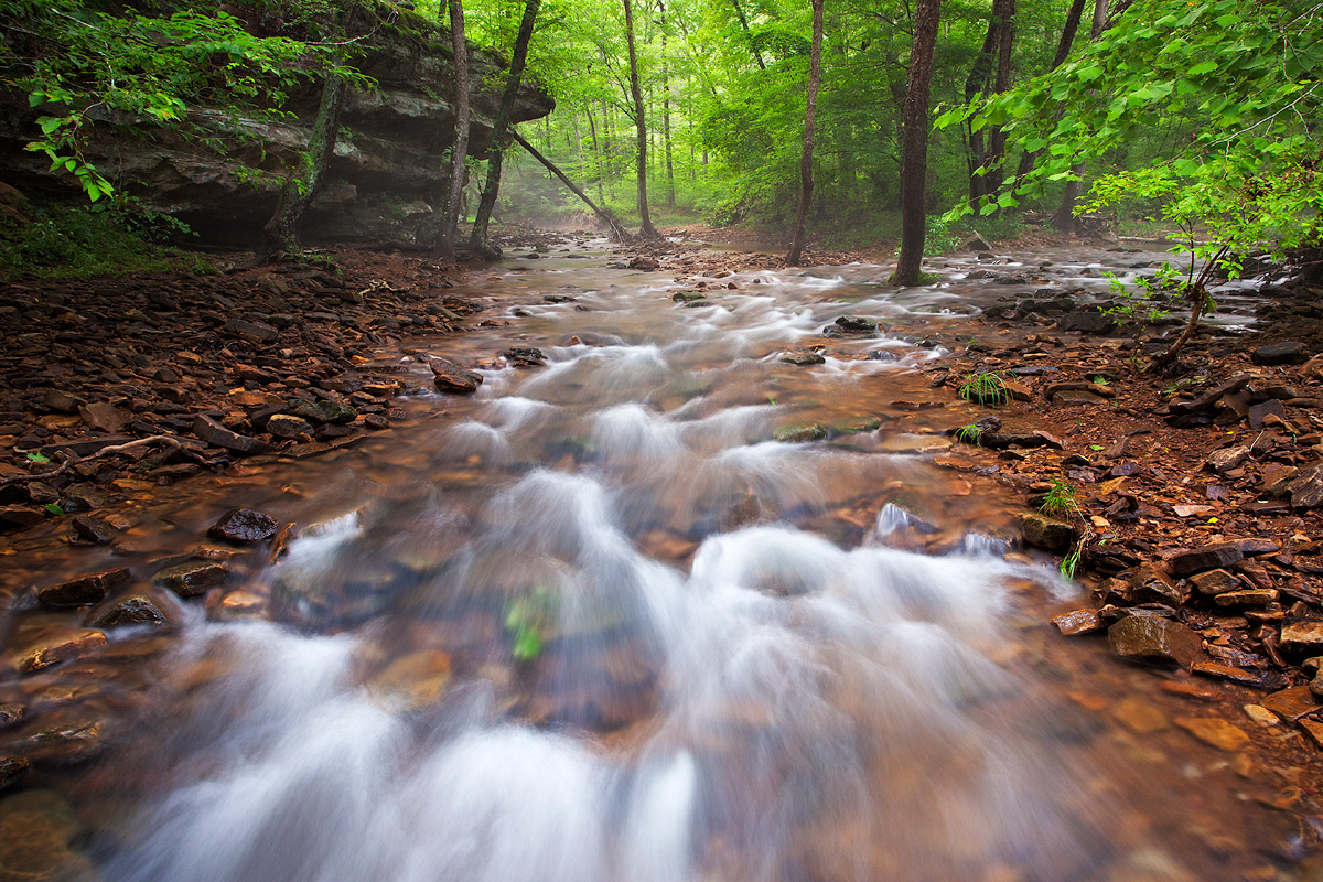 Bell Smith Springs