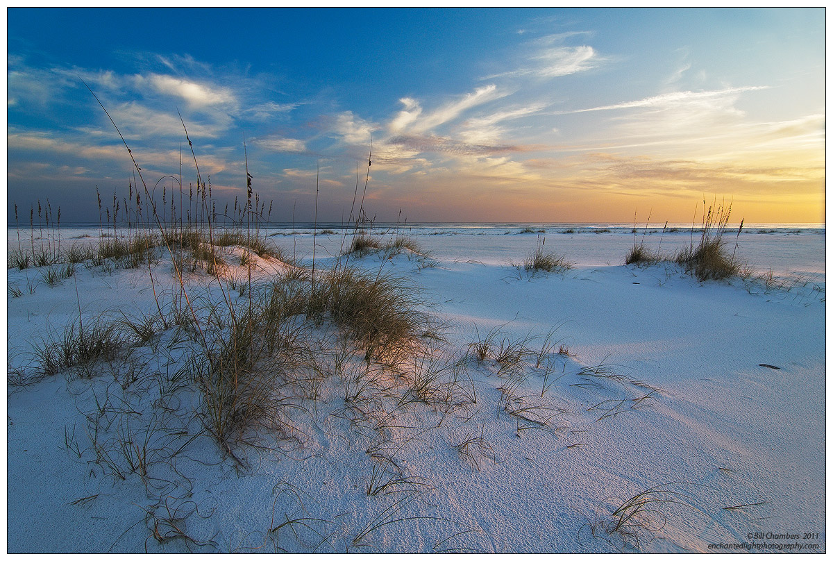 Late Afternoon