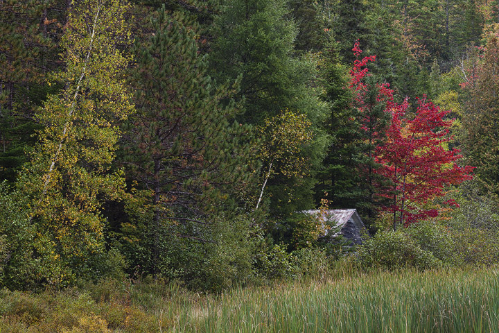 Vermont Autumn