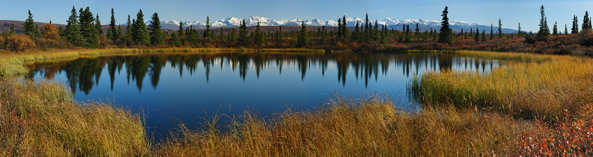 Poignant Pond