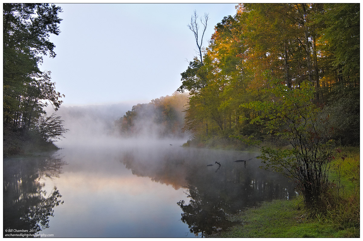 Peaceful Morning