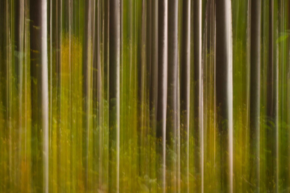 Whispers of Autumn
