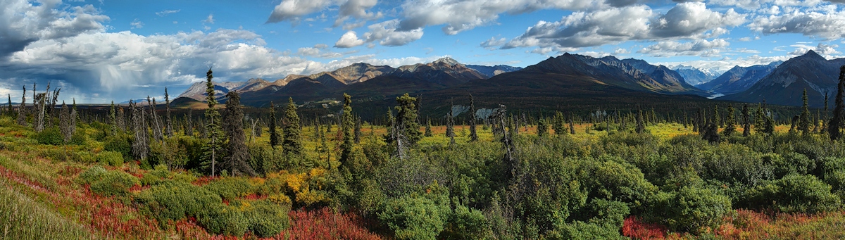 Early Fall Late Light