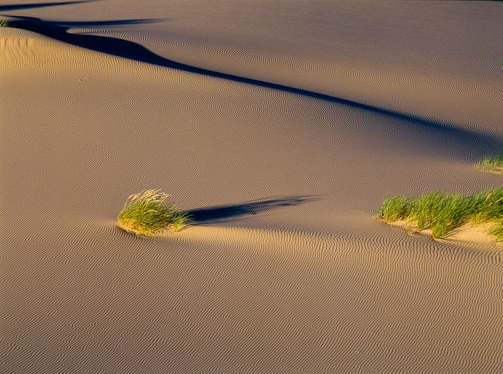 WC502-Sand Ripples