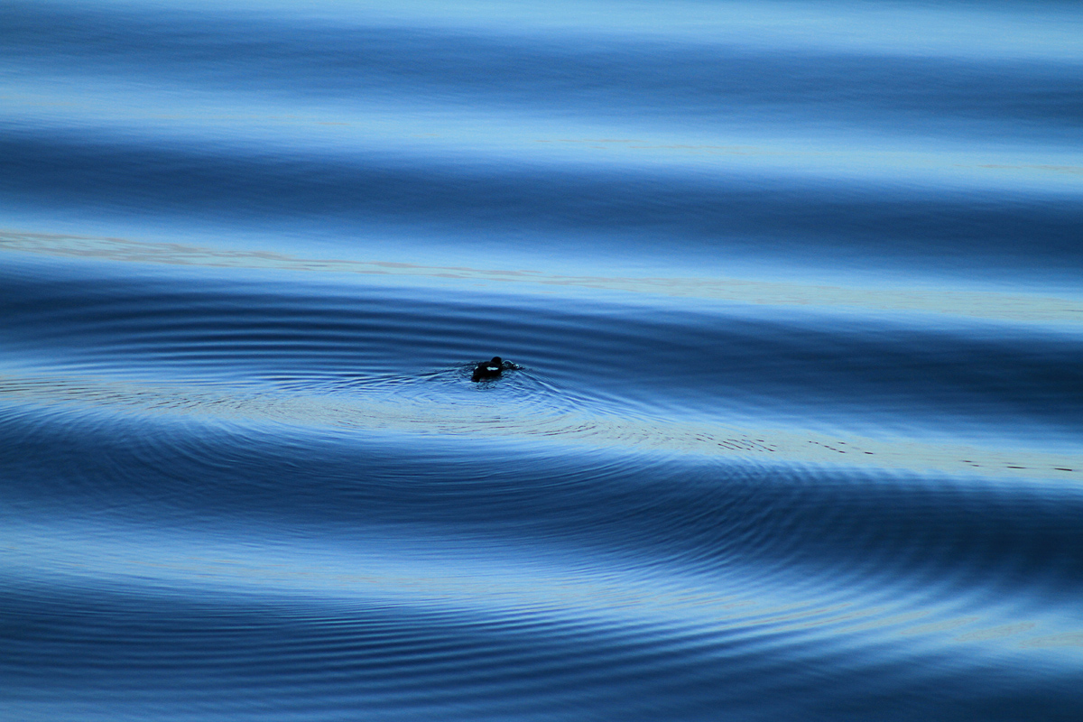 Blue Ripples