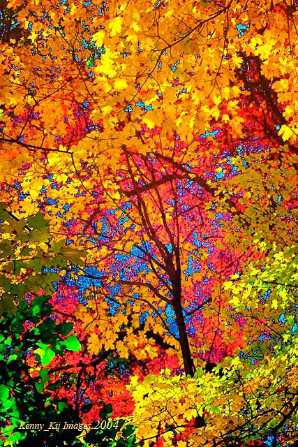 De Colores