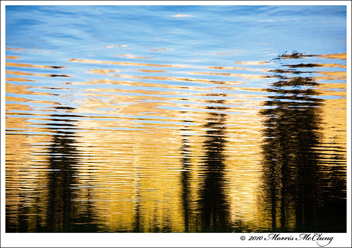 Reflections on loss