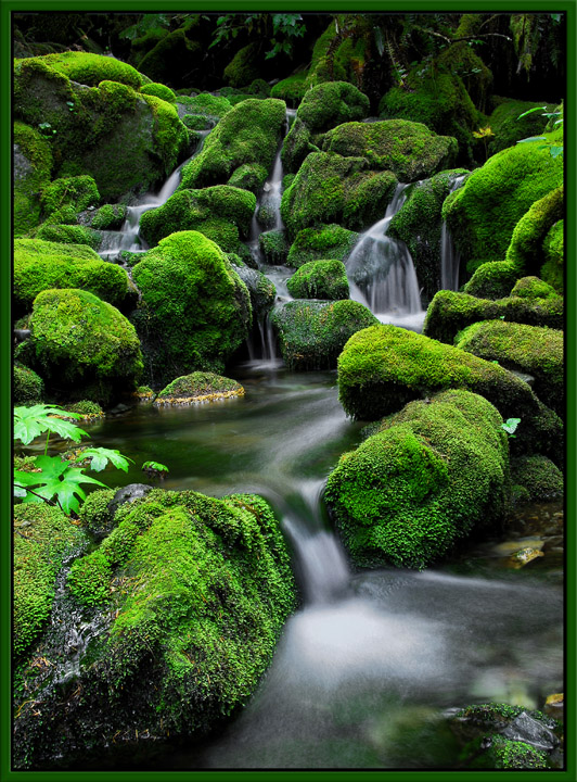 Cascades