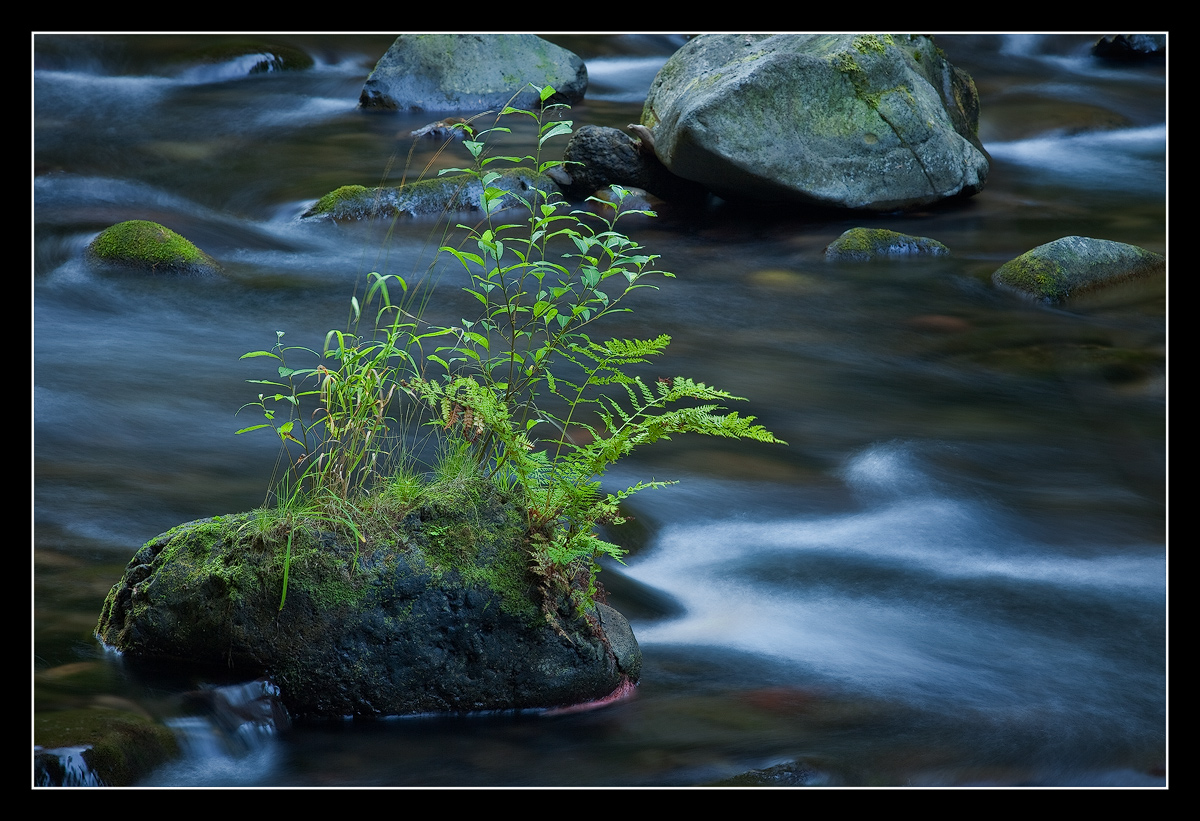 Toward Wahclella Falls