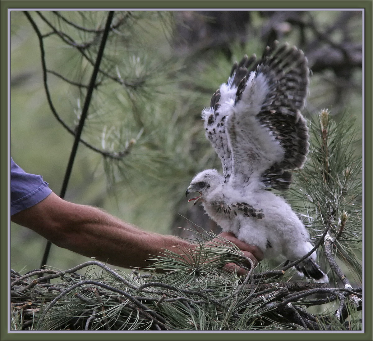 Gotcha!
