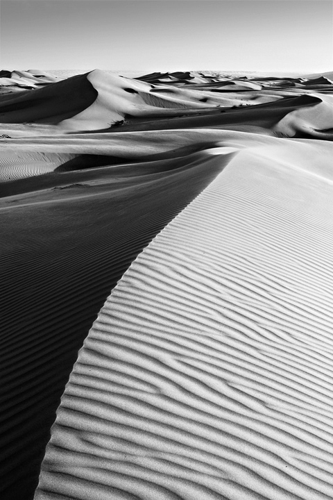 Wahiba Sands