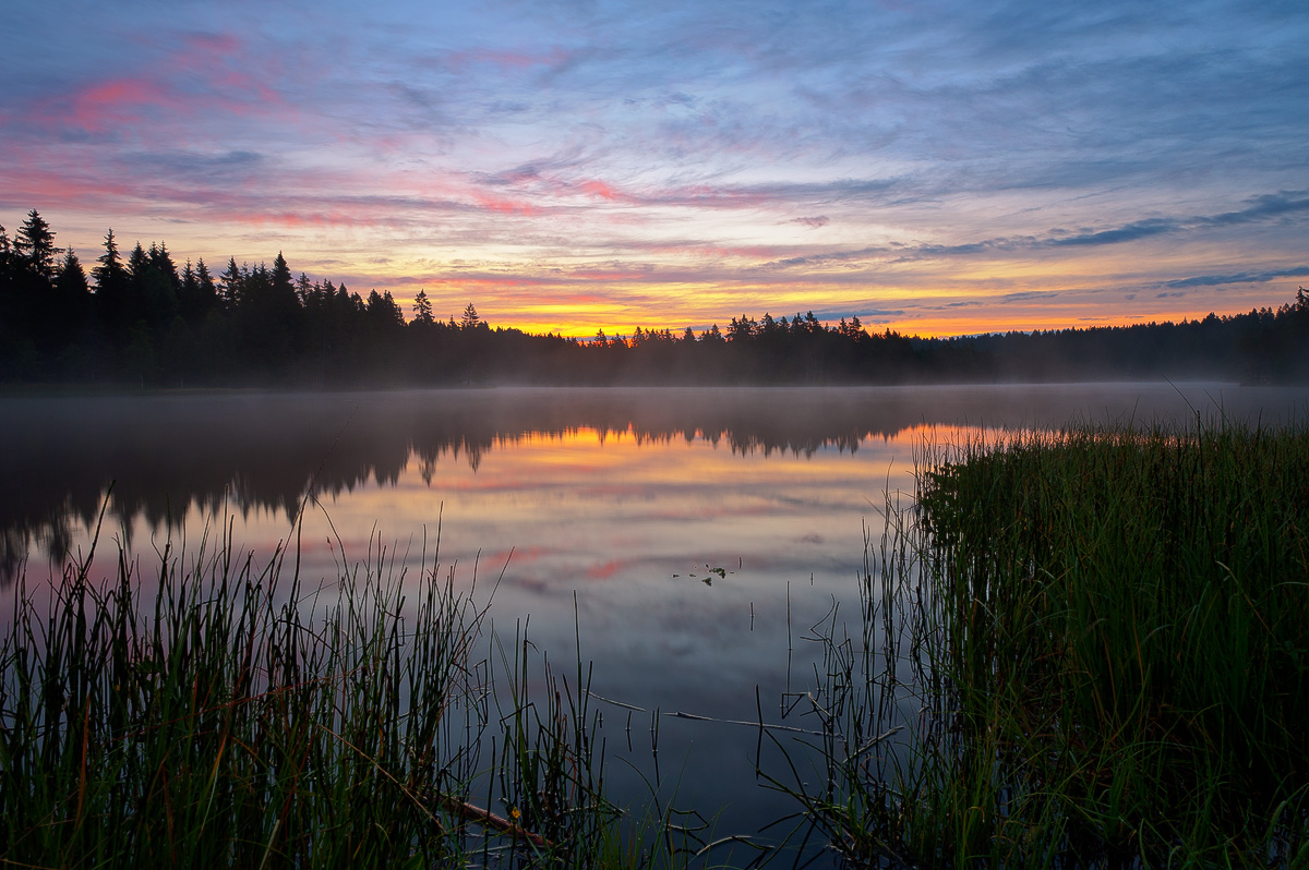 Daybreak