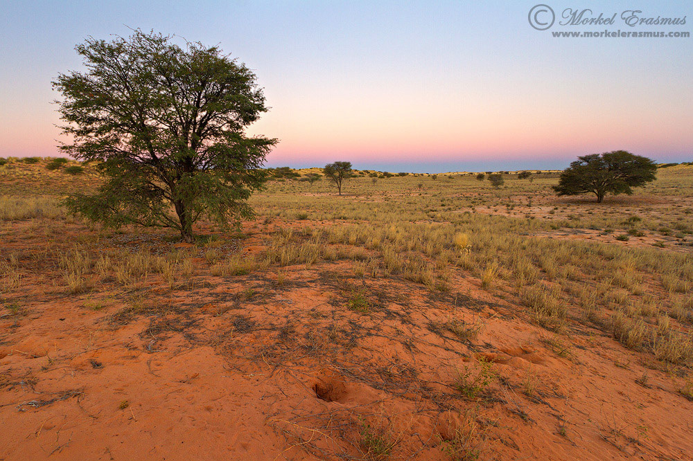 Kgalagadi Sunset