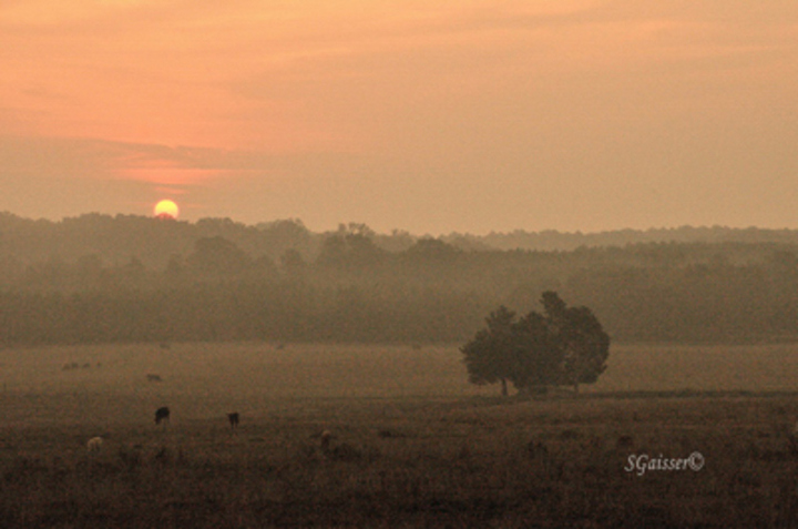 Rural Sunrise