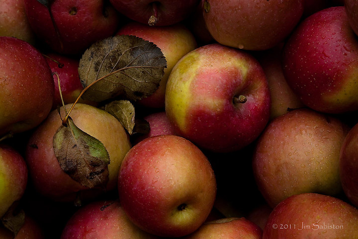 Apple Season