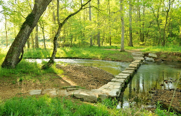 Stepping Stones