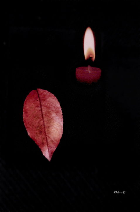 Red Leaf Candlelight