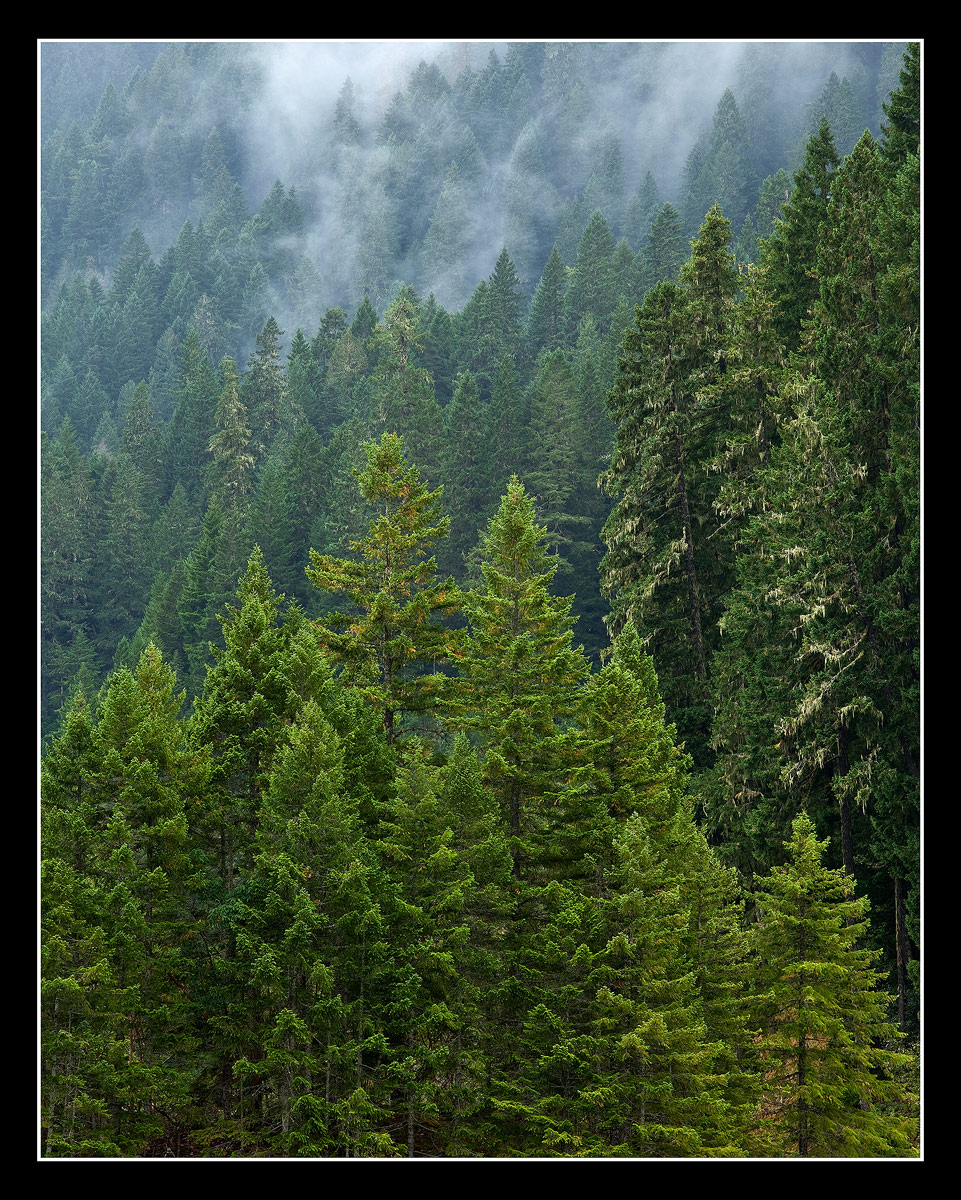 Along Hwy 126