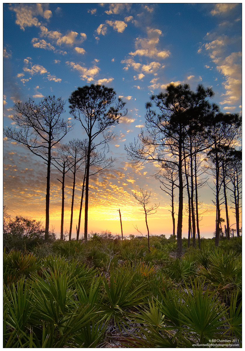 Blue Sky @ Cape San Blas