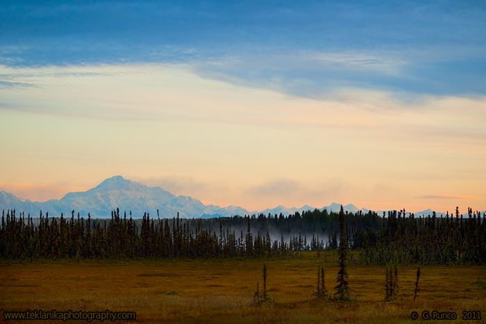 Denali Sunrise w/ REPOST