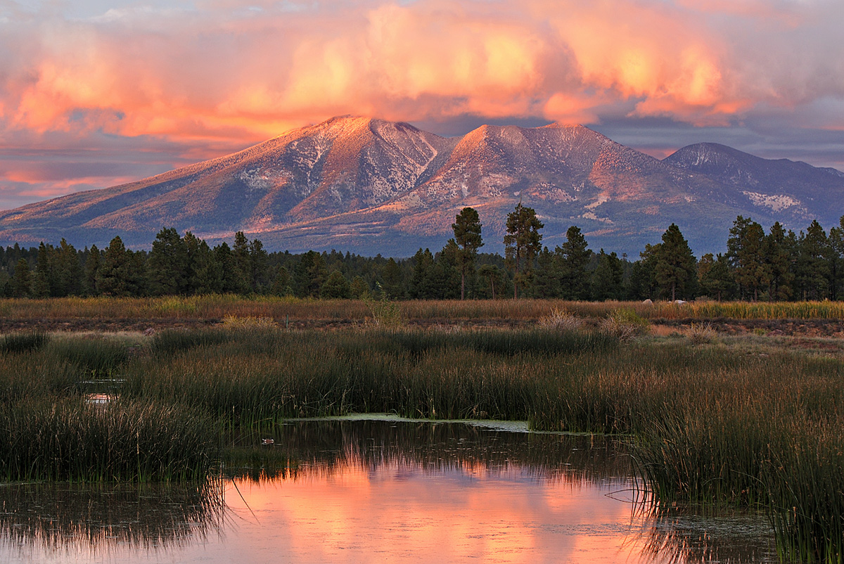 Kachina Wetlands