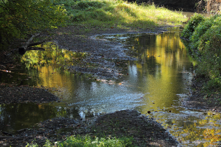 Low Water!