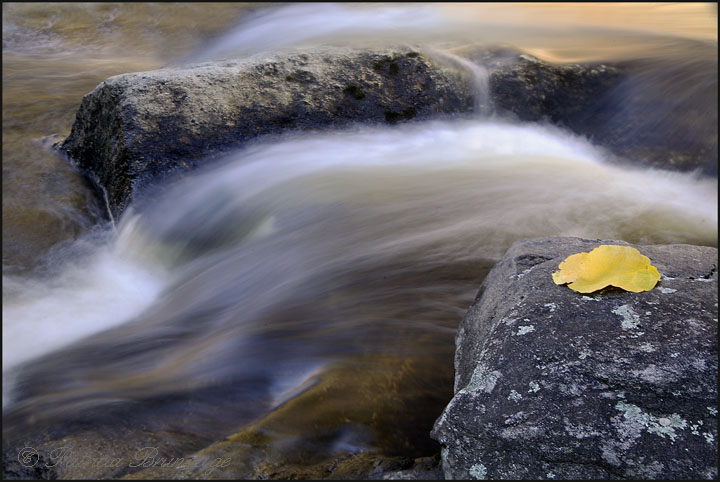 WC #505 - Rivers/Streams