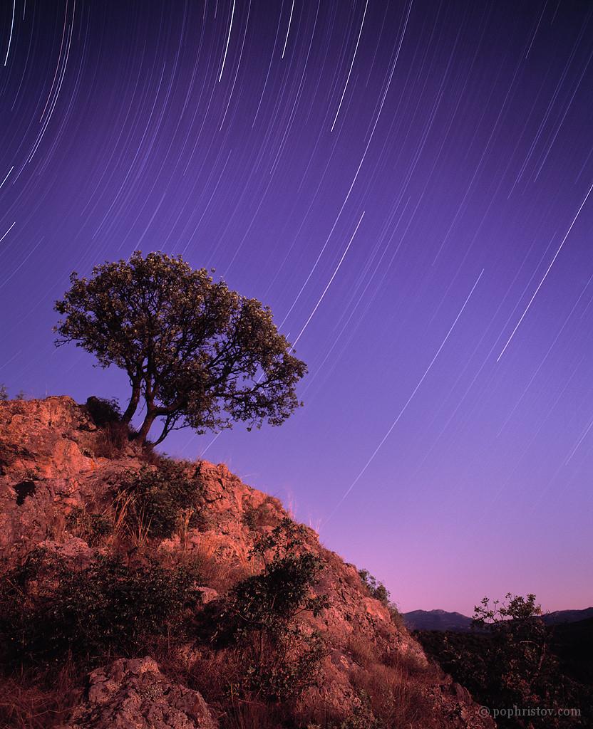 Reaching for The Stars