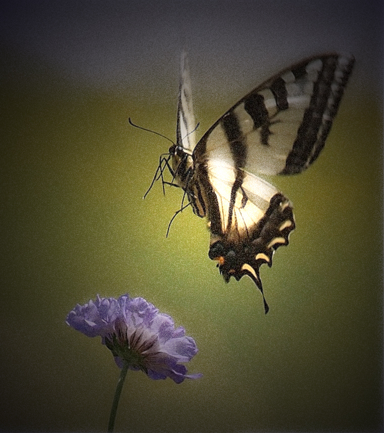 Final approach