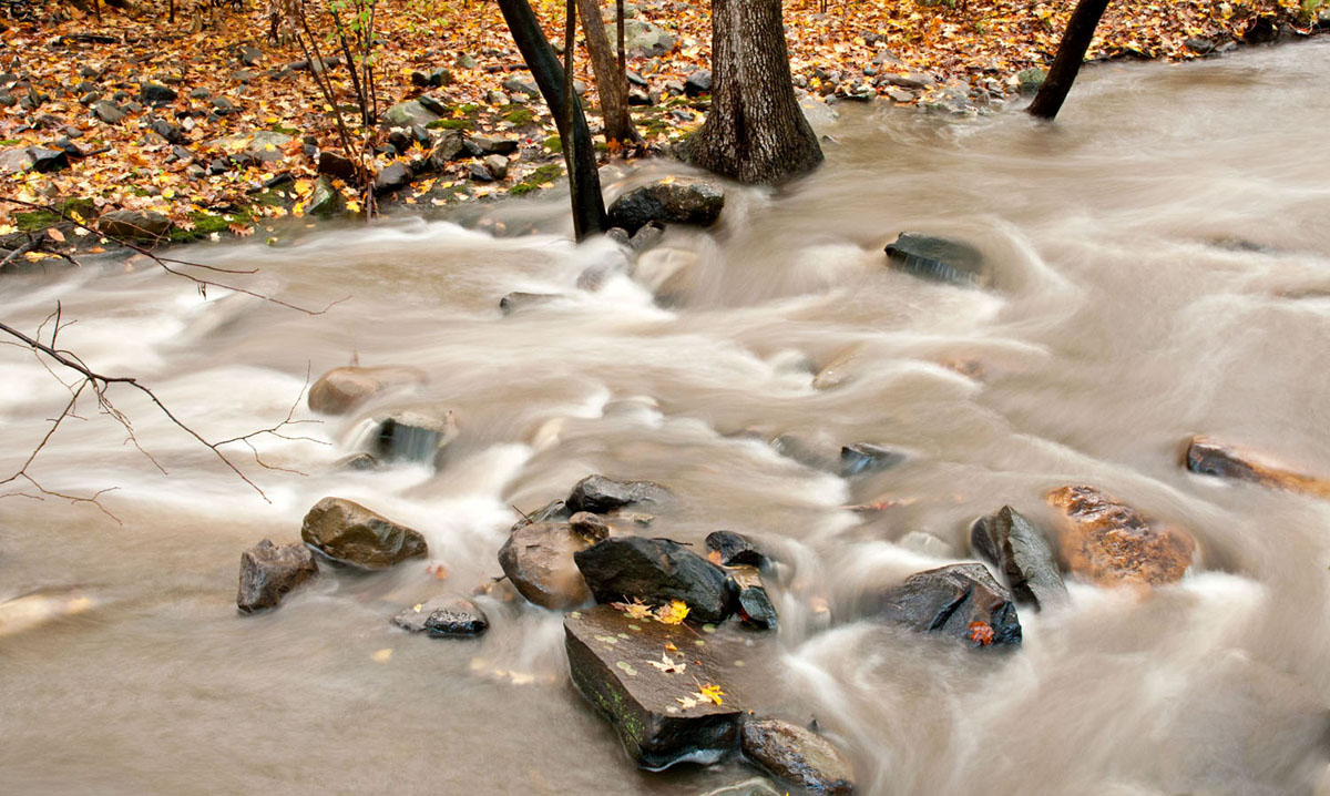 Harriman stream WC505