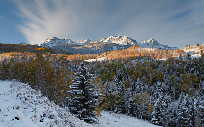 Fresh Snow