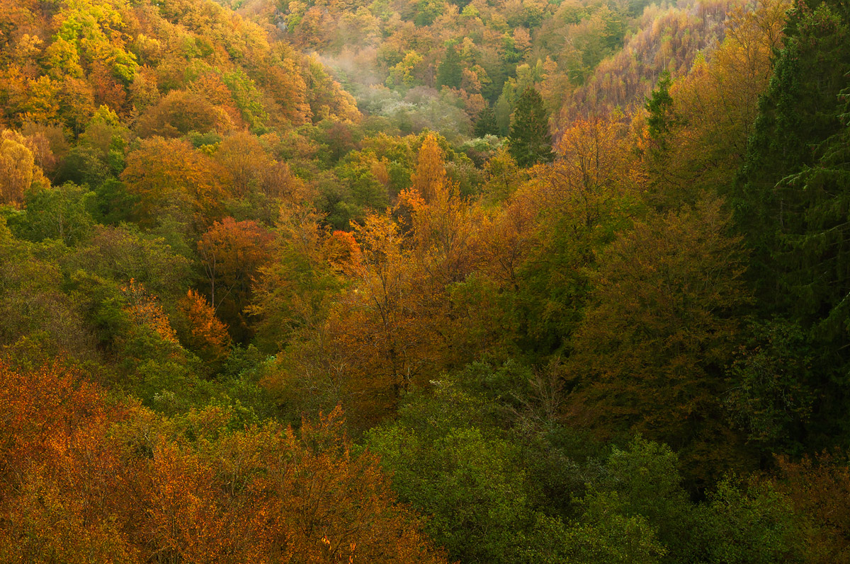 Autumn arrives