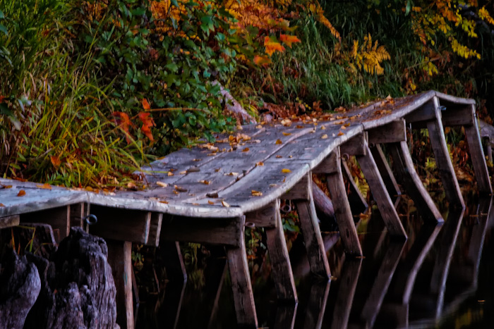 Dock + repost