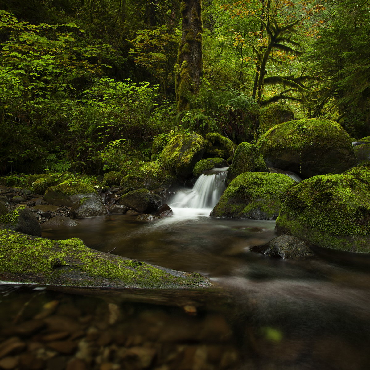 McCord Creek