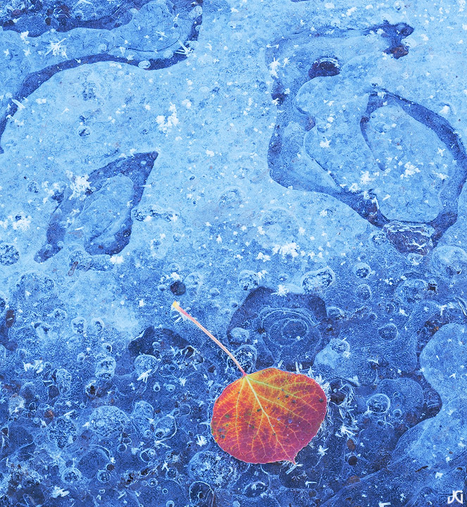 Icy Fall