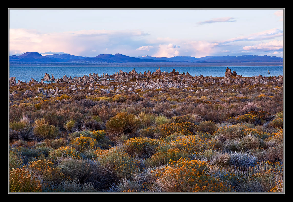 High Desert Gardens
