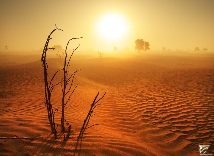 One Day Warmth